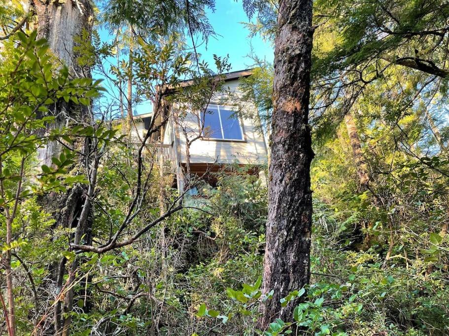 Brown'S Beach Guest Suite Ucluelet Exterior photo